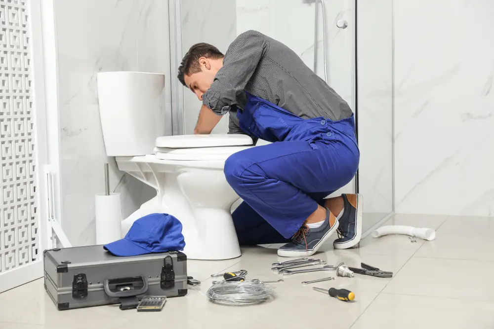 Toilet Repair in Eugenio Saenz